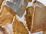 min�raux : plaque bois fossile